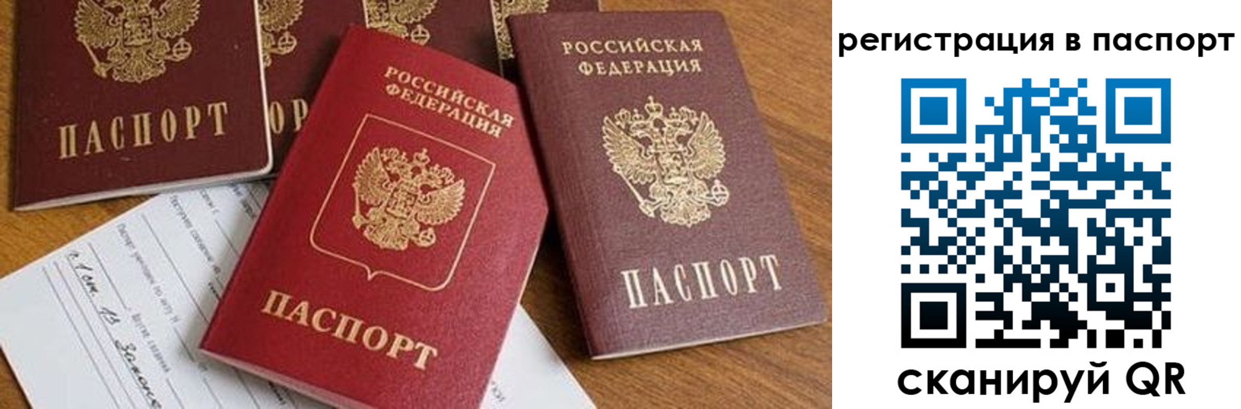 прописка в Ростовской области
